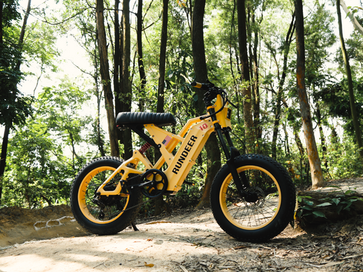 E-Bikes-Your-Eco-Friendly-Ride-Towards-a-Greener-Future Rundeer