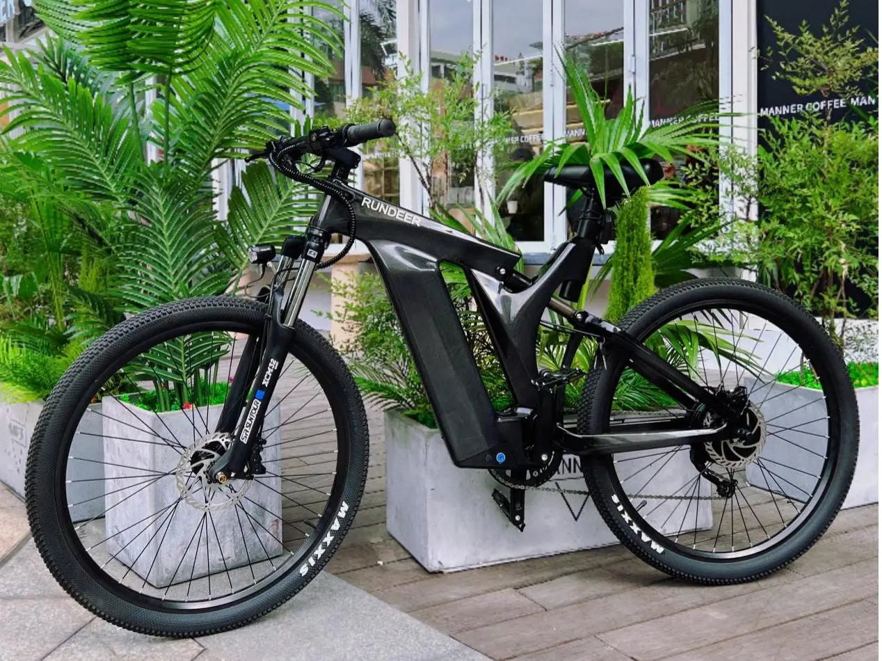 Which-Battery-is-Best-for-Electric-Bike Rundeer