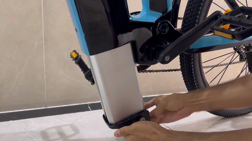 Carbon Fiber Electric Bike -Rundeer starry sky 3k