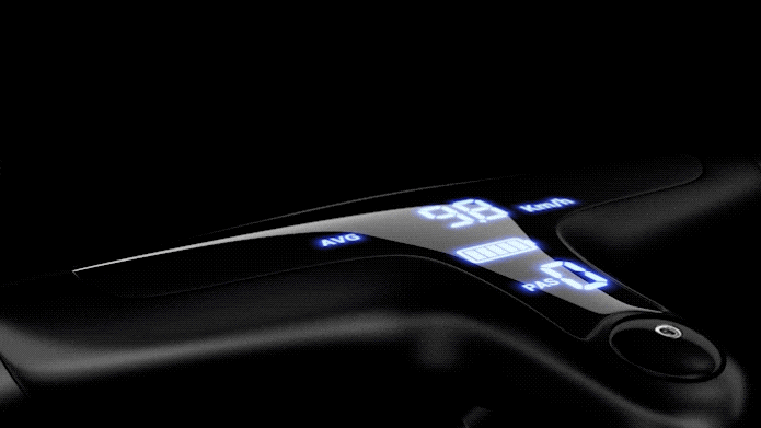 Rundeer Carbon Fiber eBike- Handlebar Integrated Display