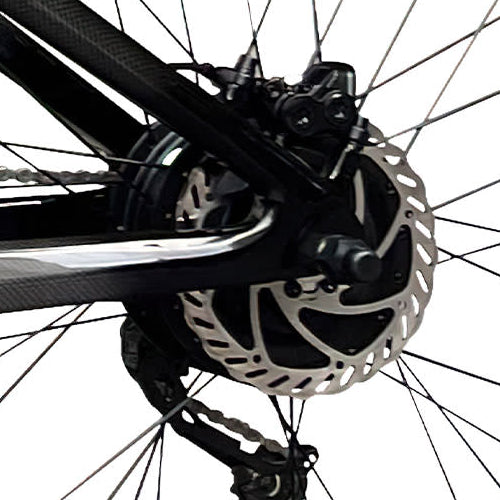 Rundeer Carbon Fiber eBike-Hydraulic Disc Brakes