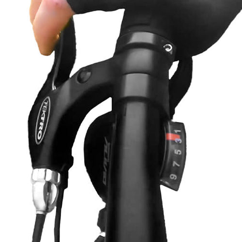 Rundeer Carbon Fiber eBike- Shimano 9 Speeds
