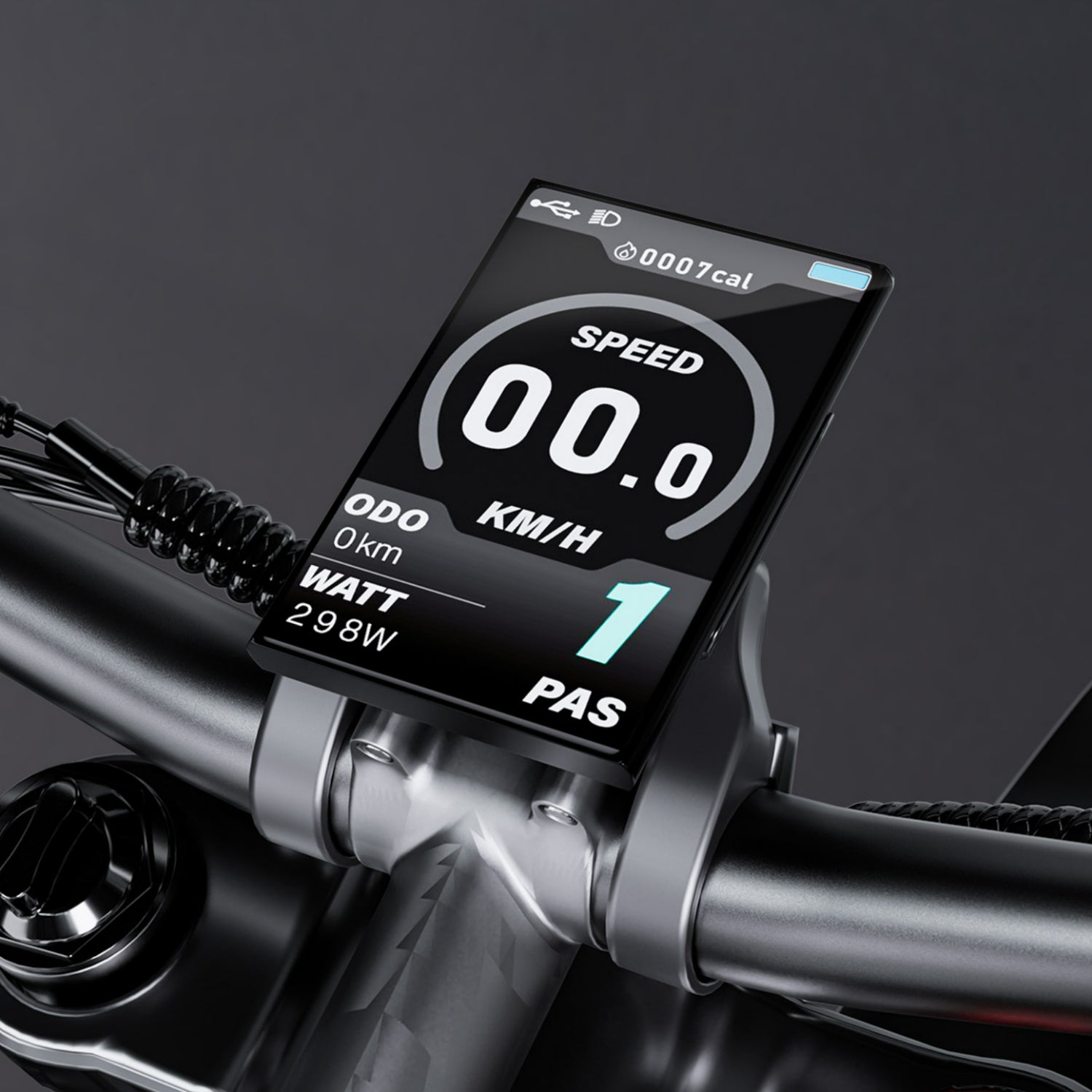 Multifunctional LCD display - rundeer moped style ebike