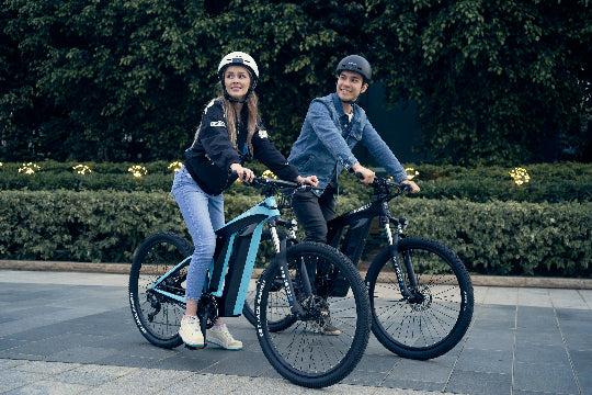 carbon fibre electric bike - rundeer urban ebike