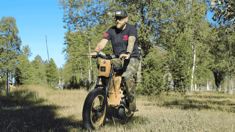 Fat Tire Full Suspension Ebike - rundeer attack 10