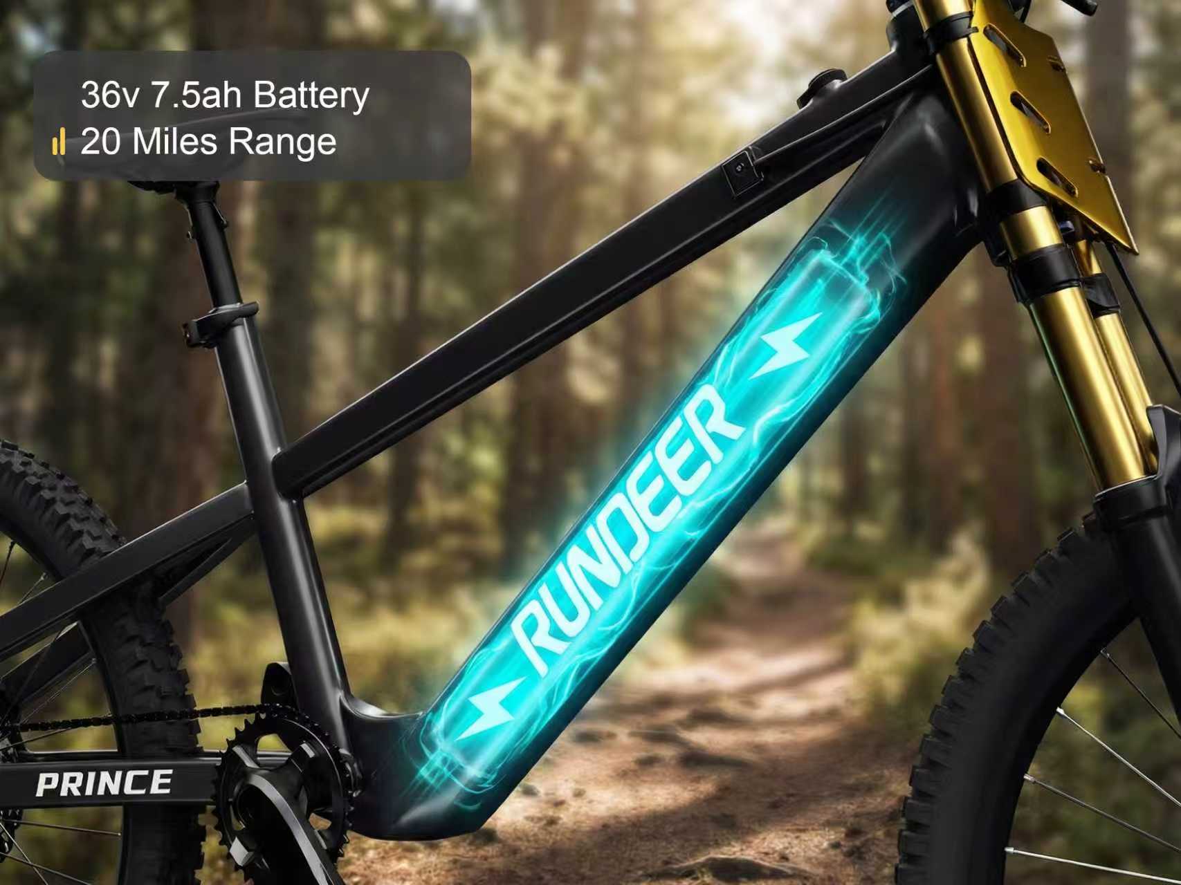 RUNDEER Prince Kids Electric Bike Rundeer