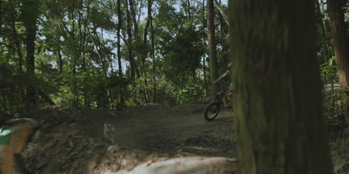 Load video: off road ebike - rundeer attack 10